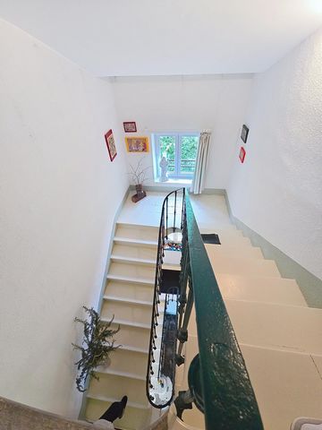 photo no. 5