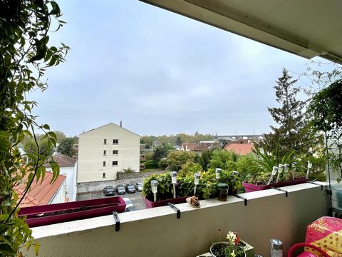 photo no. 3