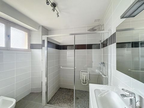 photo no. 7