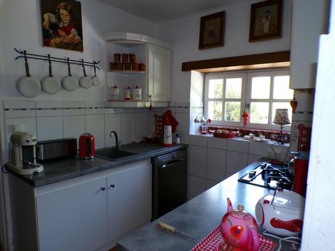 photo no. 17