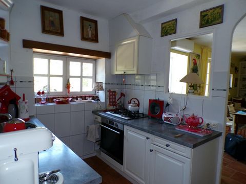 photo no. 19