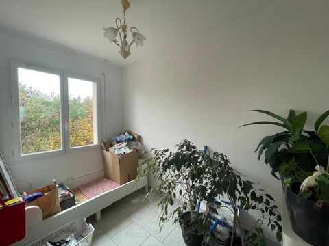 photo no. 9