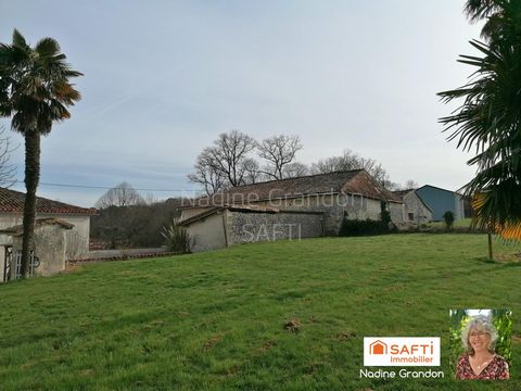 photo no. 16