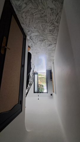 photo no. 10