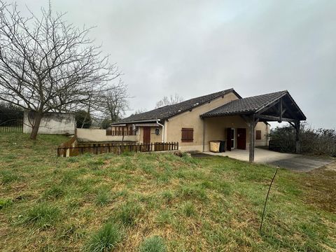 photo no. 3