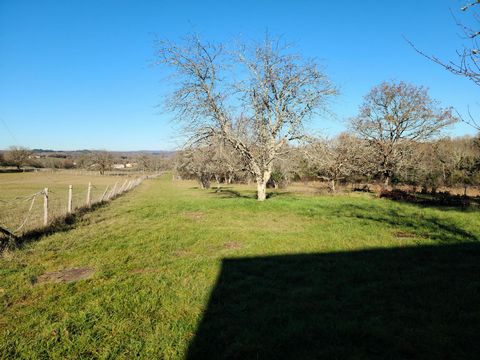 photo no. 5