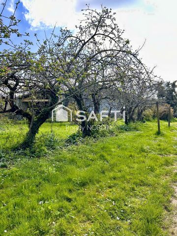 photo no. 14