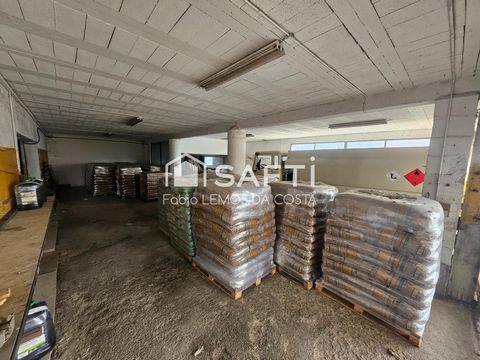 photo no. 19