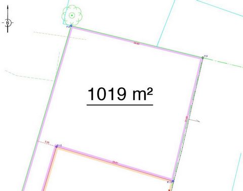 photo no. 1