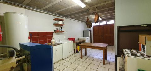 photo no. 11