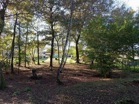 photo no. 12