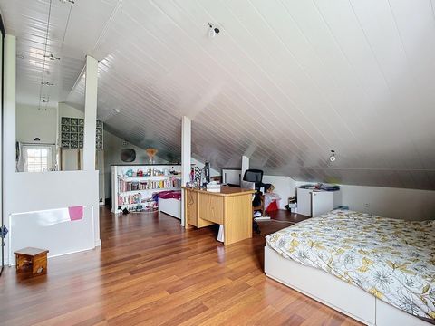 photo no. 8