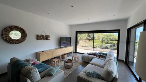 photo no. 11