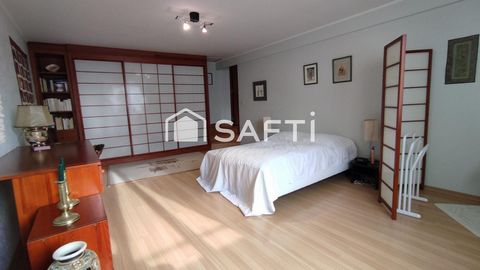photo no. 12