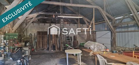 photo no. 16