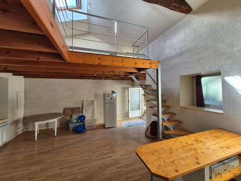 photo no. 12