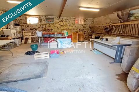 photo no. 13