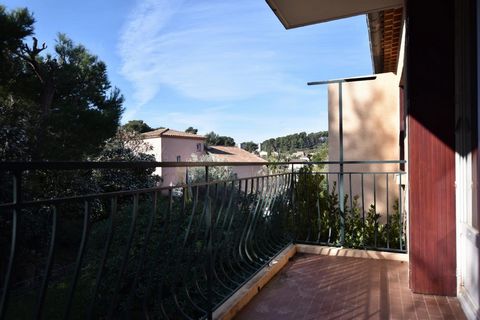 photo no. 6
