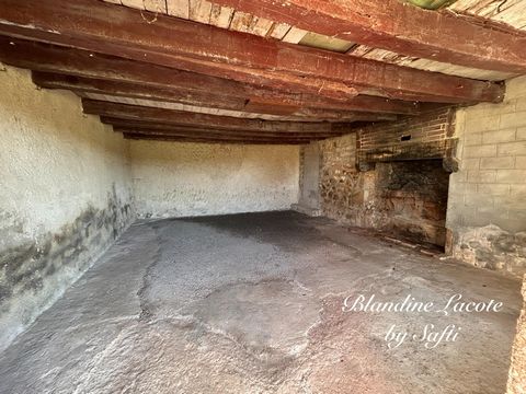 photo no. 10