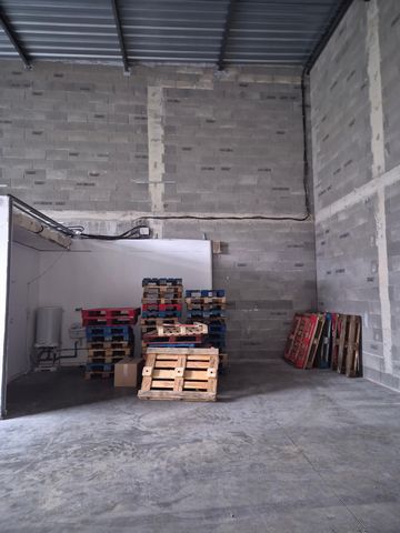 photo no. 3