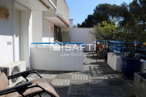 photo no. 11
