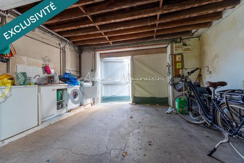 photo no. 13