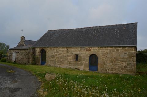 photo no. 4