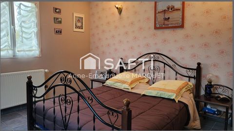 photo no. 7
