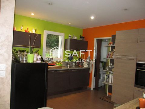 photo no. 6