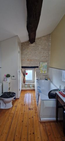 photo no. 12