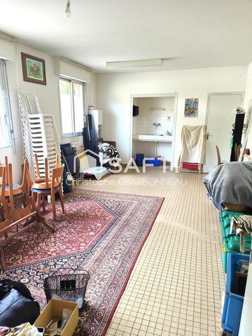 photo no. 5