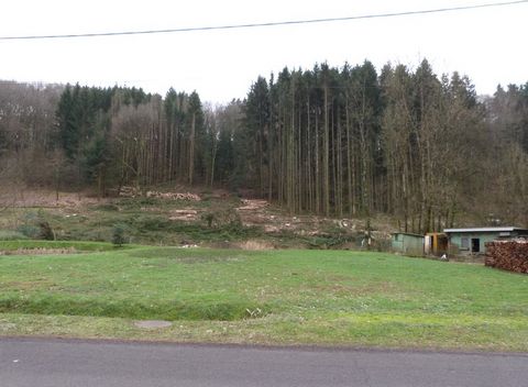 photo no. 1