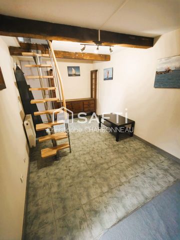 photo no. 13