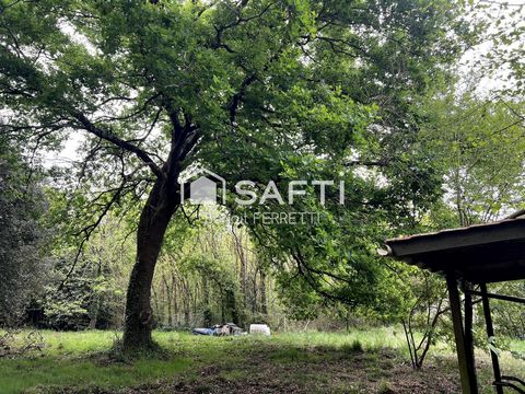 photo no. 11