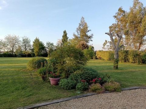 photo no. 16