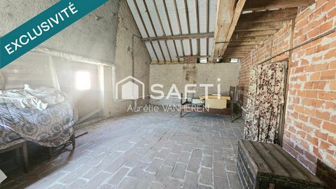 photo no. 11