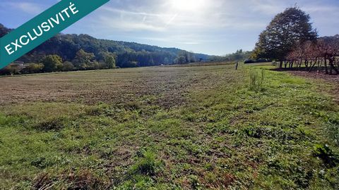 Terrain Constructible 12255m2 + 5800m2 terres Agricoles