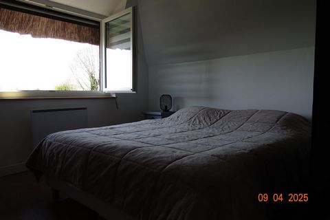 photo no. 7