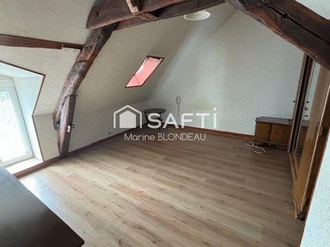 photo no. 6