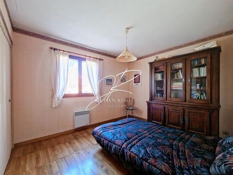 photo no. 6