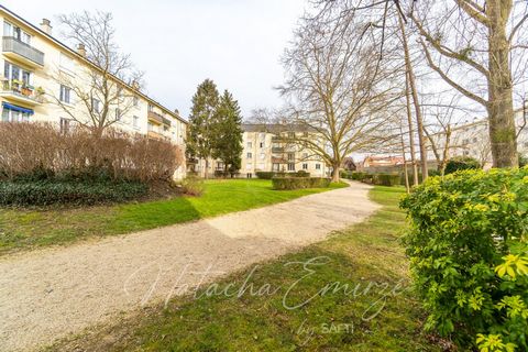 photo no. 12