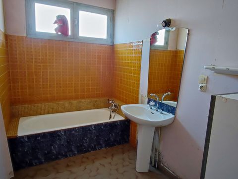 photo no. 12