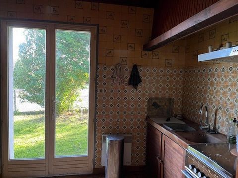 photo no. 5