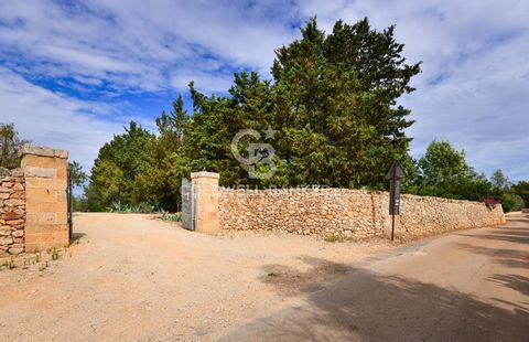 GALATONE - LECCE - SALENTO In the heart of the Salento countryside, immersed in the colors of nature, surrounded and protected by ancient dry stone walls, we offer for sale an ancient country house of about 212 square meters, surrounded by about 3500...