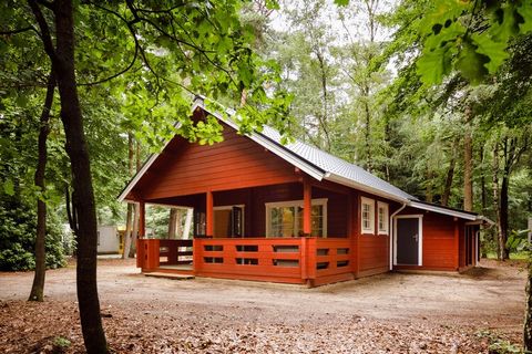 The accommodations at RCN De Jagerstee are whimsically scattered among the trees in the holiday park. There are various types to suit your taste. For groups of up to 4 people you can choose a 4-person chalet (NL-8162-24) that has been neatly furnishe...