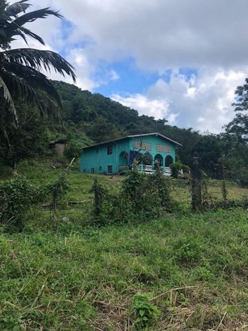 4 bed 3 bath house approximately 1740Sq ft on 14 acres of land. The lower level has 1 bed 1 bath, living room and storage. The upper level has 3 bedrooms 2 baths living/dining combo, kitchen and verandah.