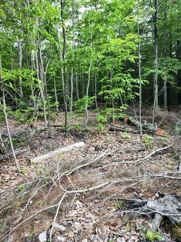 Beautiful wooded land of 2883 square meters near Bataille lake. To build your dream house or cottage. Beautiful land in a peaceful location where you can build your dream home partially deforested with building permit for any information please conta...