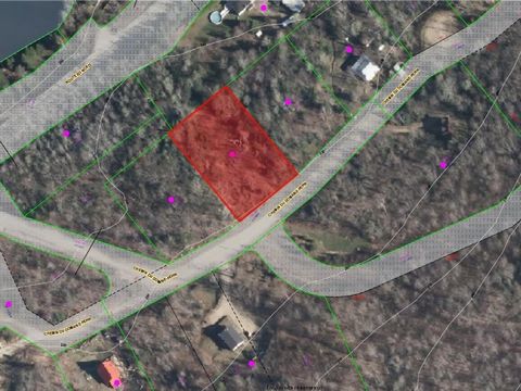 Large lot of 30,103 square feet. Located not only in an exceptional municipality in full expansion, but also in an area easy to access, quiet and 15 minutes from Mont-Tremblant and all activities. Very great potential at a low price. Course oriented ...