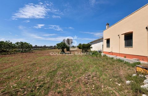 Lecce A few kilometers from Frigole, in a characteristic village just few minutes from Lecce, we offer for sale an ancient rural house of about 150 sqm on a 4-hectares land. The house, which is totally to be renovated, currently has two entrances: th...