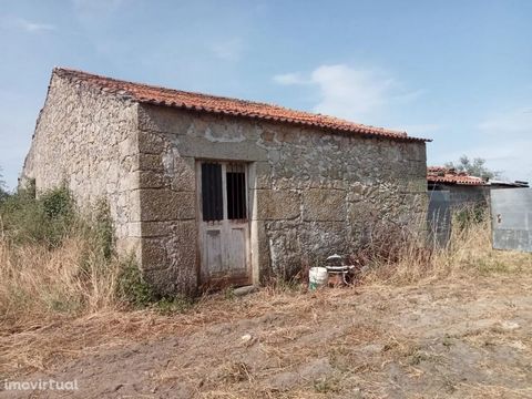 Walled farmhouse, with stone house to recover, annexes, oven, warehouse with approximately 100 m2. 2 stone wells, vineyard and olive grove. Well located 10km from Castelo Branco. Good access to the Beira Interior motorway, A23. * Walled farm, with st...